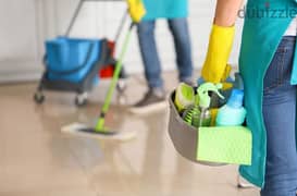 best home villa office apartment deep cleaning services