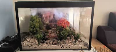 Fish Tank with Artificial plants