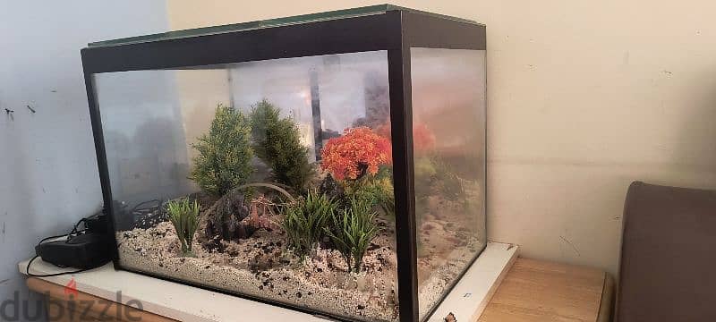 Fish Tank with Artificial plants 1