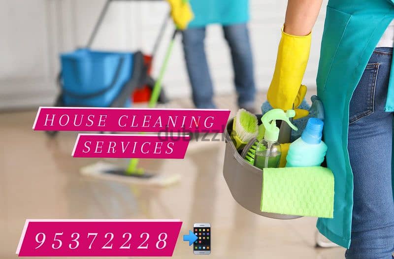 professional house, villa, building, office, school cleaning service 0