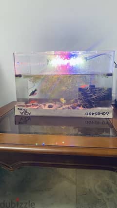 Very less used glass tank for sale