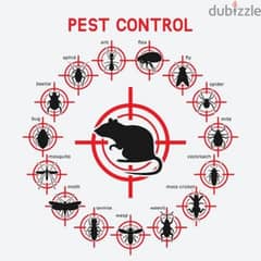 pest control services and house cleaning