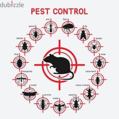 General pest control services and house cleaning