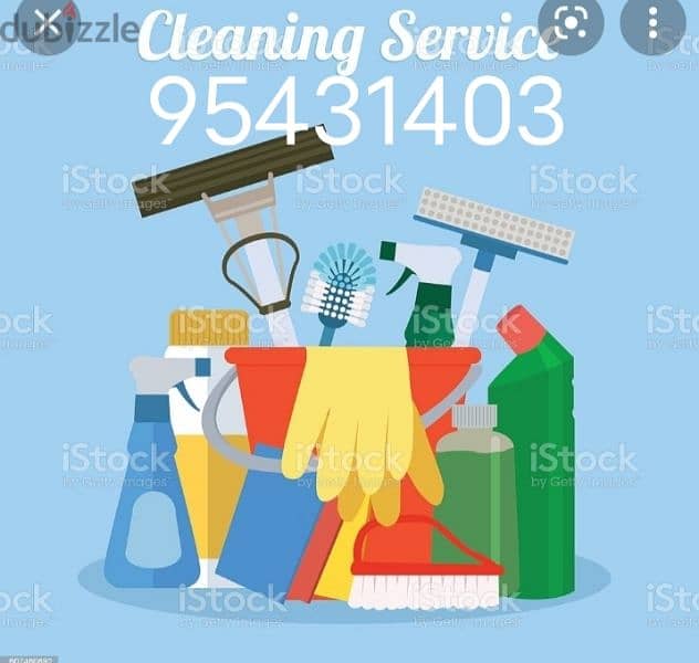 Professional house deep cleaning service 0