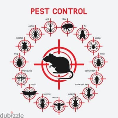 Guaranteed pest control services and house cleaning