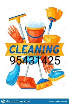 Professional house deep cleaning service