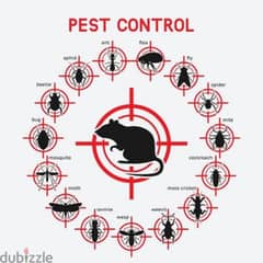 pest control services and house cleaning up 0