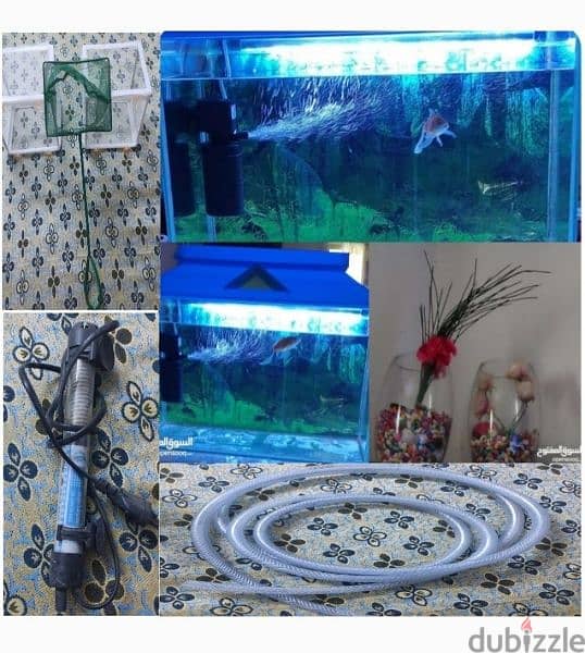 aquarium with good condition working very good other things also 1