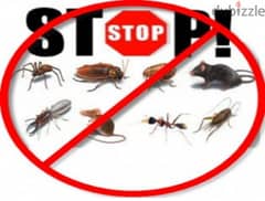 Quality pest control services and house cleaning