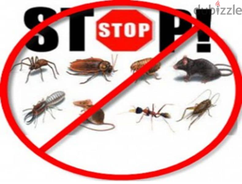 Quality pest control services and house cleaning 0