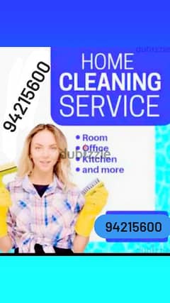 Professional villa office shops restaurant house deep cleaning service