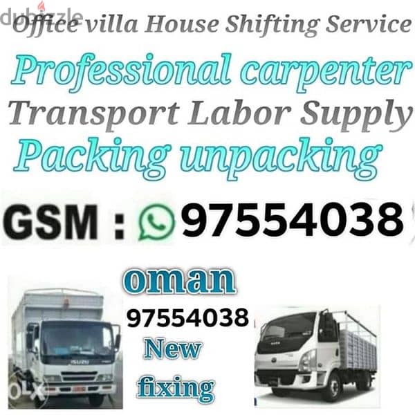 professional movers and packers house shifting villa shifting 0