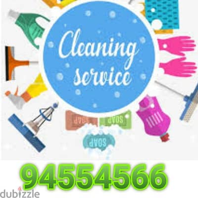 Professional villa office shops restaurant house deep cleaning service