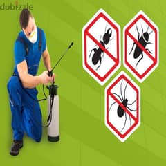 Quality pest control services and house cleaning 0