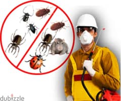 Quality pest control service and house cleaning 0