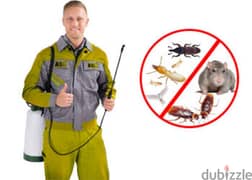 Quality pest control services and house cleaning