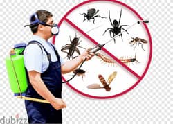 Pest control service and house cleaning service 0