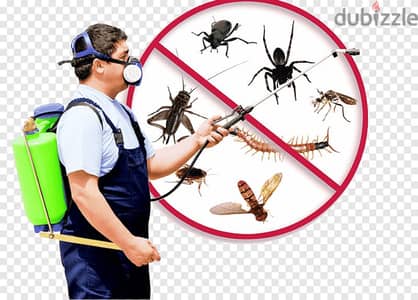 Quality pest control service and house cleaning