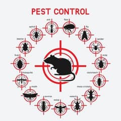 General pest control service 0