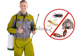 Pest control service and house Maintenance