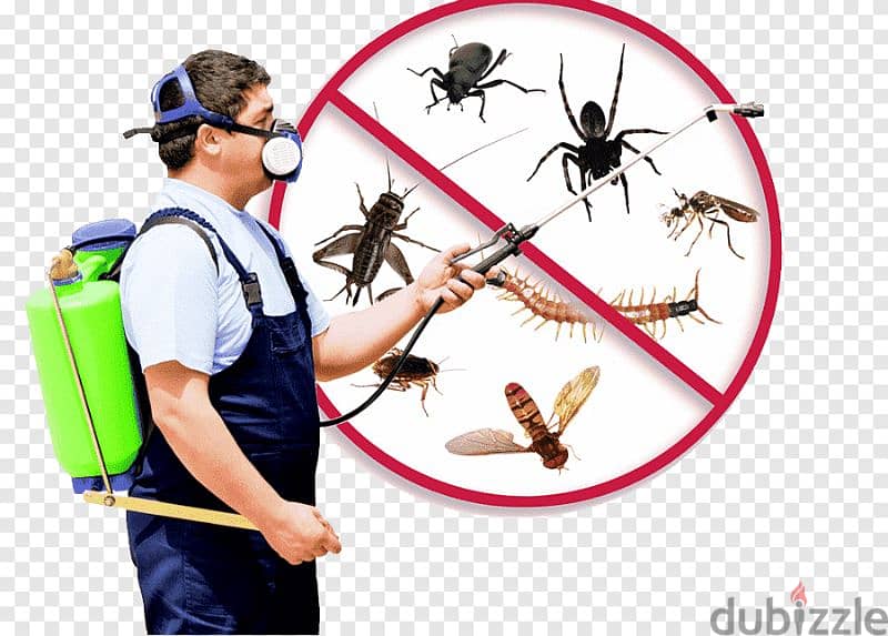 Guaranteed Pest Control Service and House Maintenance 0