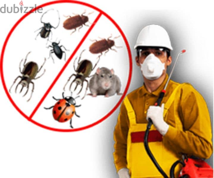 General Pest Control Service and House Maintenance 0