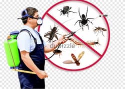 Pest Control Service with Warranty