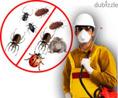 Pest Control Service and House Cleaning