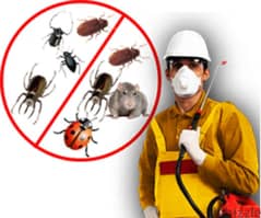 Quality pest control service and house cleaning