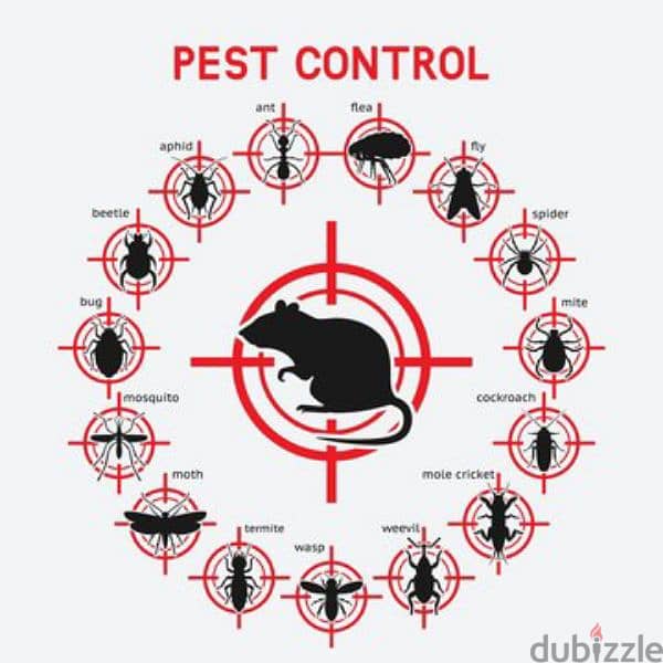 Quality pest control service and house cleaning 0