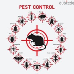 Pest Control Services, Bedbugs killer medicine available 0