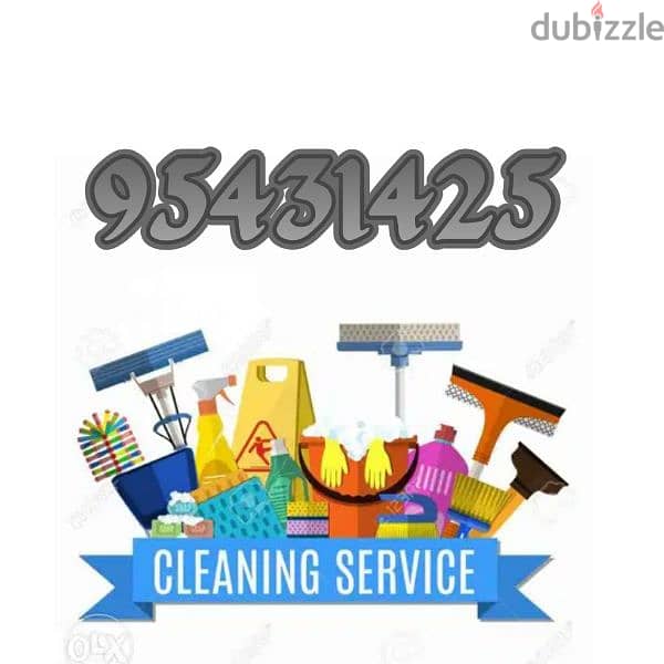 Professional House Cleaning Service 0