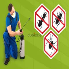 Quality pest control service and house cleaning