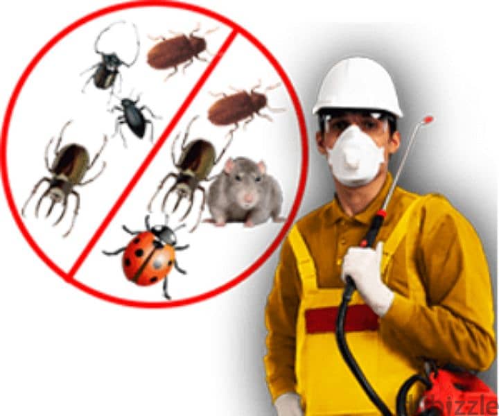 Pest control service and house cleaning 0