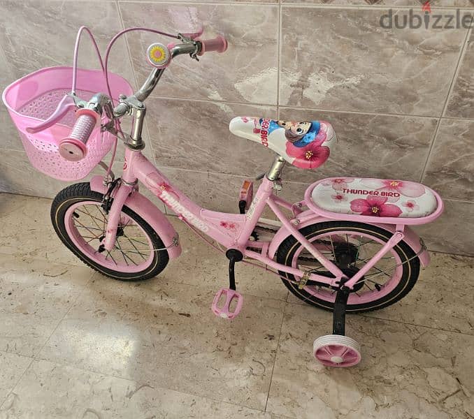 Kids Girls cycle bicycle 1