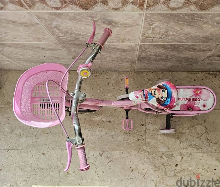 Kids Girls cycle bicycle 2