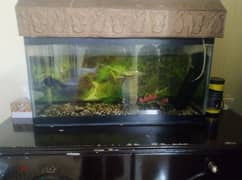 fish tank