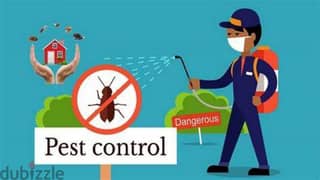 Guaranteed pest control service and house cleaning 0