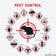 General pest control service and house cleaning