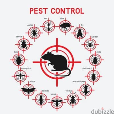 General pest control service and house cleaning