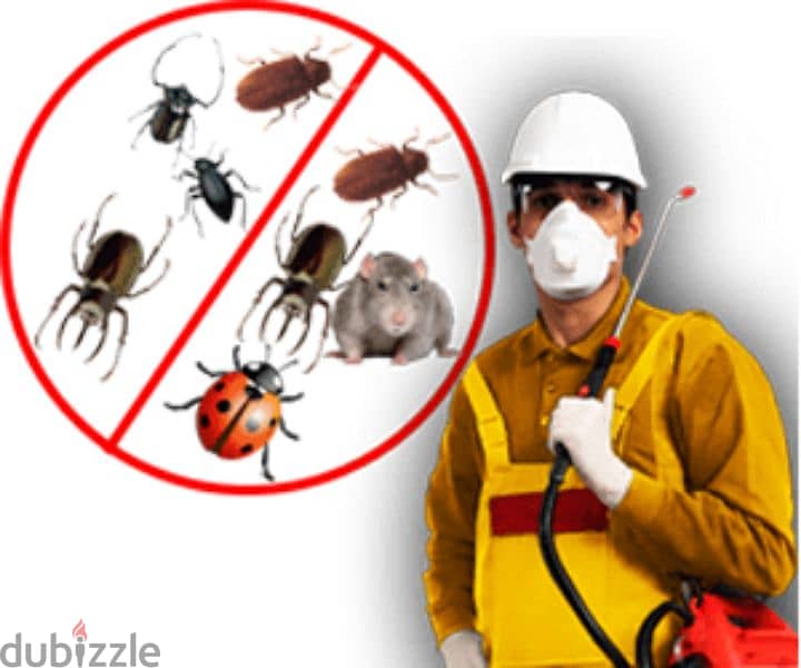 Guaranteed pest control service and house cleaning 0