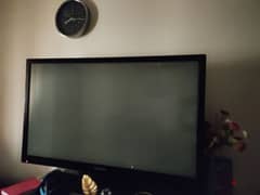 plasma TV