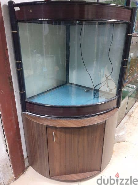 bend glass tank avaialble with filter and light watsapp me 95286803 0