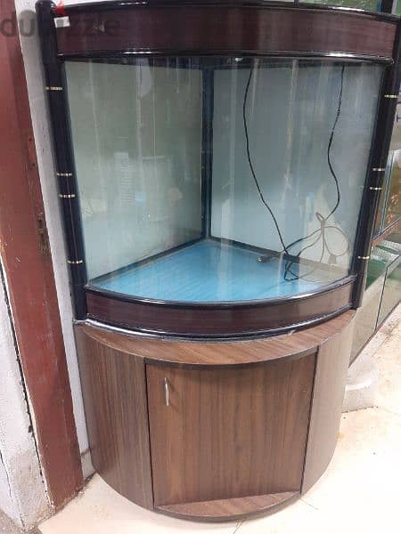 bend glass tank avaialble with filter and light watsapp me 95286803 1