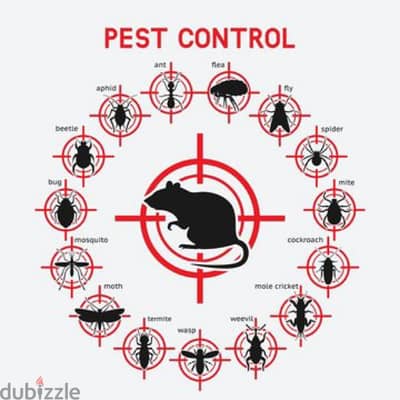 Quality pest control service and house cleaning