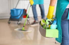 House,villas cleaning office & kitchen deep cleaning services 0