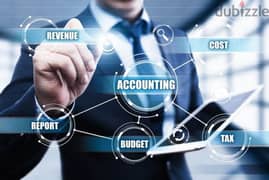 Accounting, VAT, Software Services