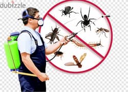 Muscat Pest Control Services, Insects Bedbugs,Lizards,Cockroaches etc 0