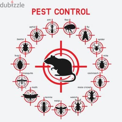 Quality pest control service