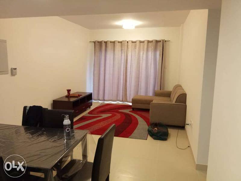 2BHK flat apartment at THE LINKS furnished. 1